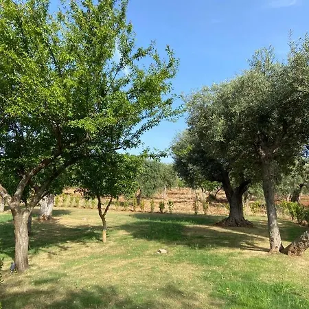 Il Villino Di Grazio * מונופולי